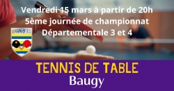 CHAMPIONNAT DE TENNIS DE TABLE - DEPARTEMENTALE 3 et 4