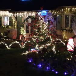 Palmarès du concours maisons et vitrines décorées