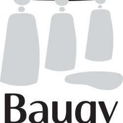 Comment bien utiliser le nouveau logo de Baugy