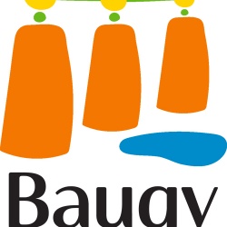 Comment bien utiliser le nouveau logo de Baugy
