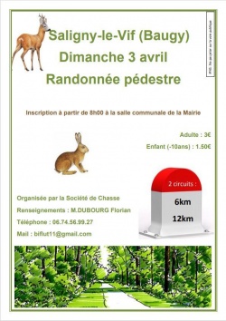 Randonnée pédestre à Saligny le Vif BAUGY