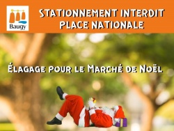 Élagage place Nationale en vue du Marché de Noël