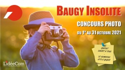 Concours Photo &quot;Baugy Insolite&quot;