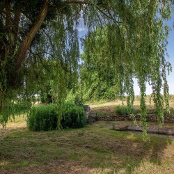 Saligny-le-Vif -  Baugy 18800